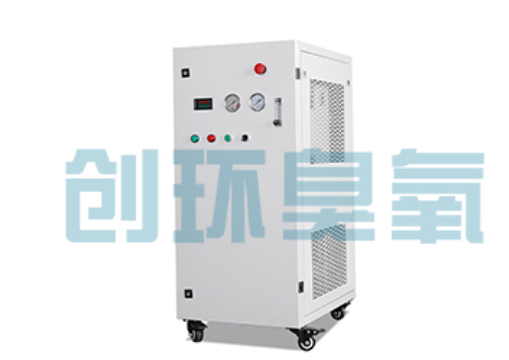 江北石斑鱼养殖水质调控完整指南：臭氧发生器配置与操作步骤