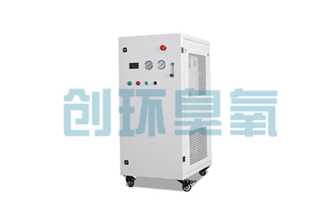 江北比传统换水更高效？臭氧发生器在石斑鱼养殖中的水质净化原理解析